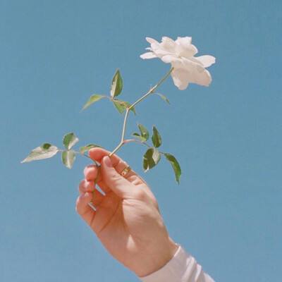 武侠战纪手游官方下载