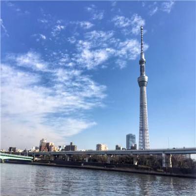转个瓜皮手机版下载
