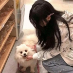 百度版魔战三国online游戏下载